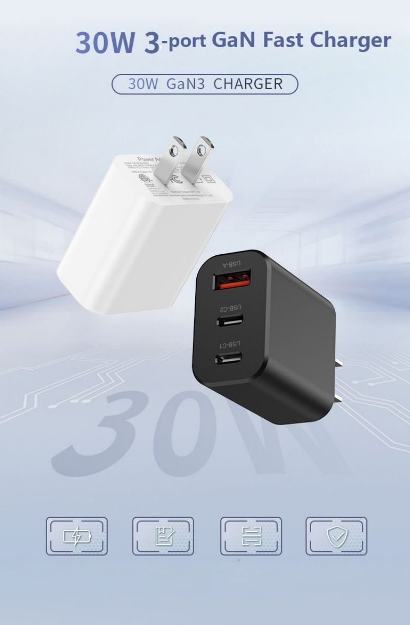 PSE Japanese PD30W Fast Charger D1