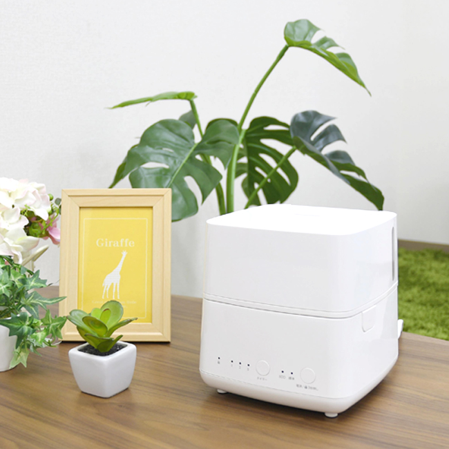 steam humidifier 1