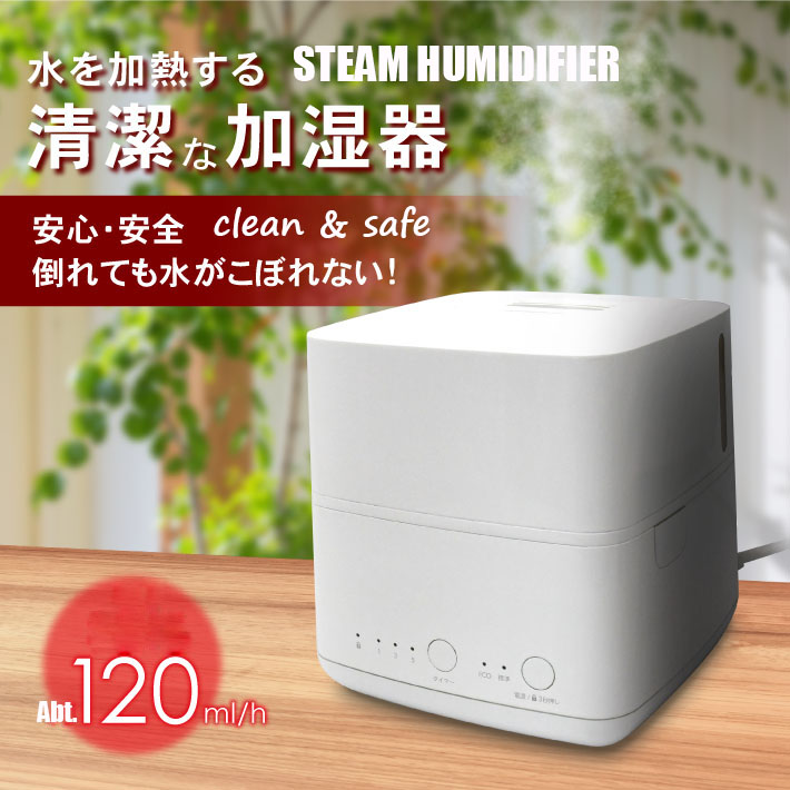 steam humidifier 9